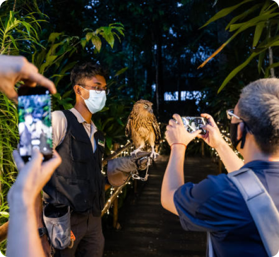 Không tìm thấy ảnh